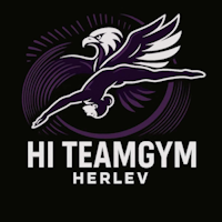 HI TeamGym